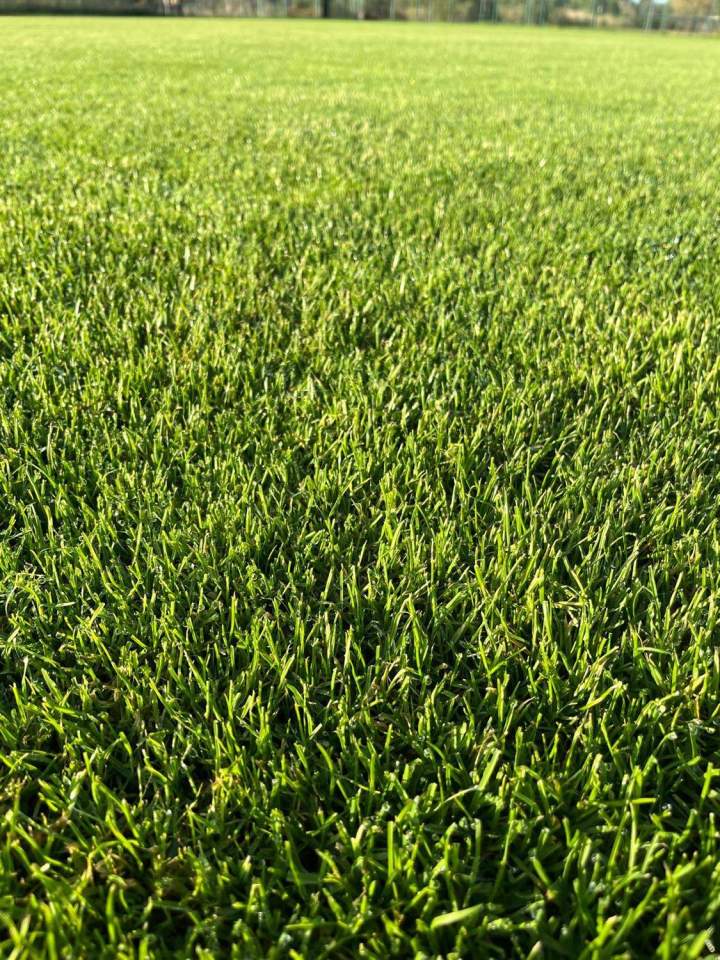 Entretien de jardin Carpentras