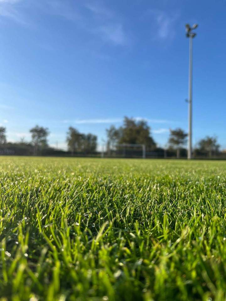 Entretien de jardin Carpentras