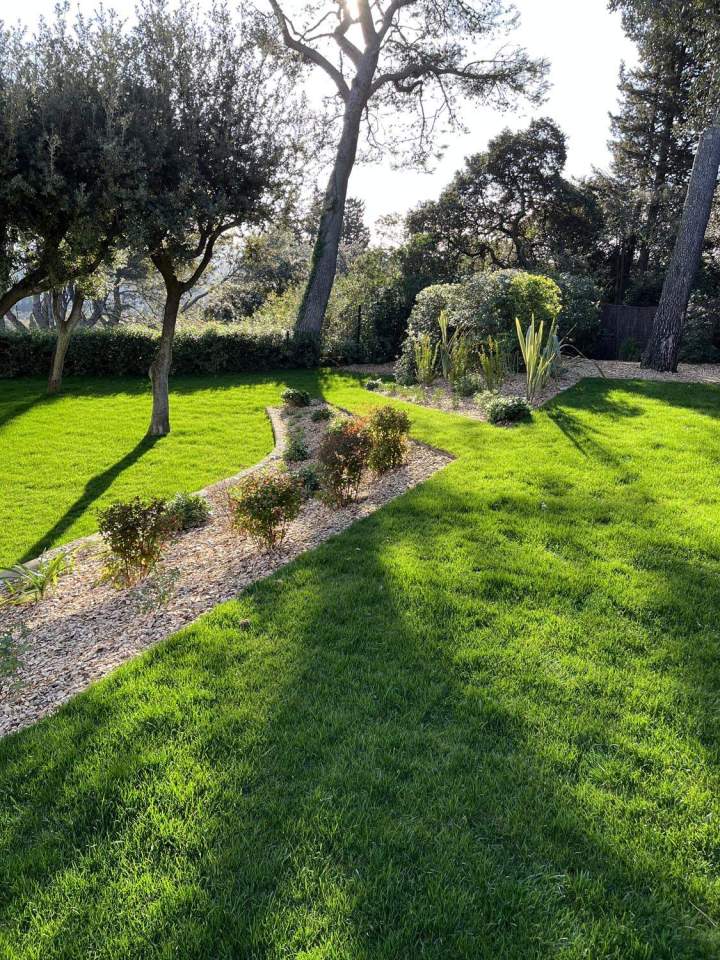 Entretien de jardin Carpentras