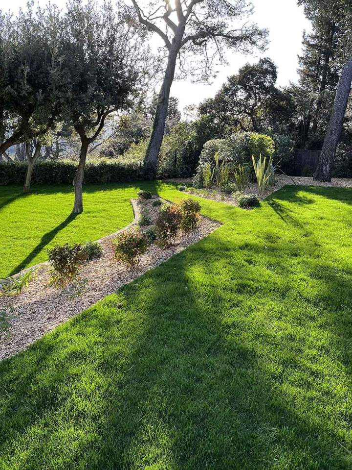Travaux de jardinage Carpentras