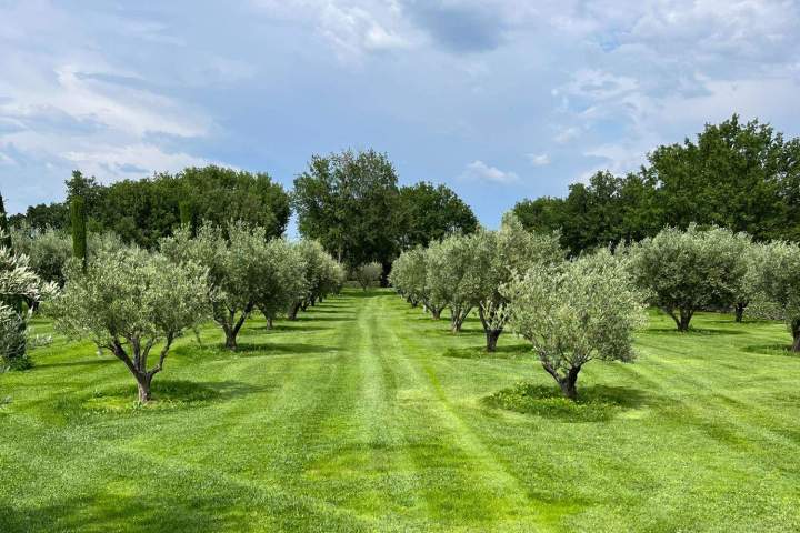 Paysagiste Carpentras