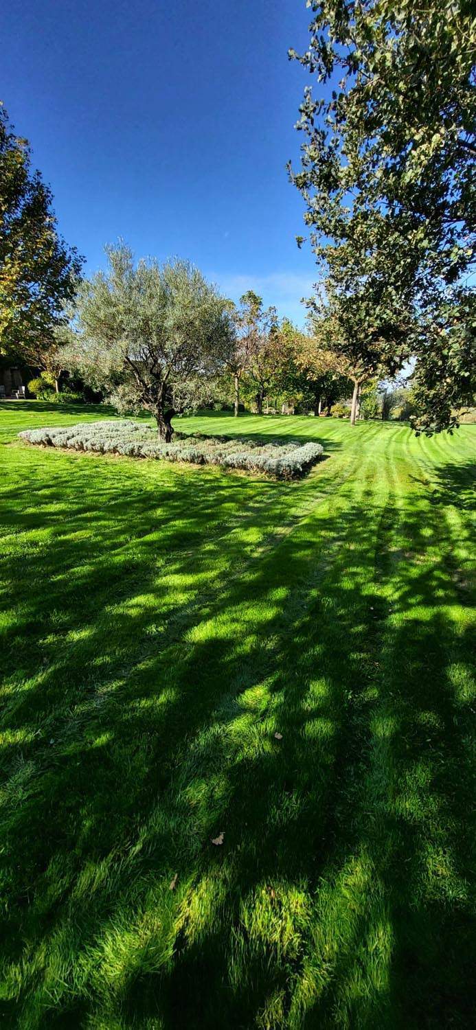 Contrat d’entretien des espaces verts Carpentras