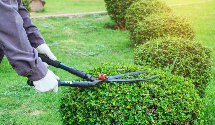 Pour un jardin soigné