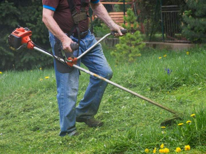 Création et entretien de jardins