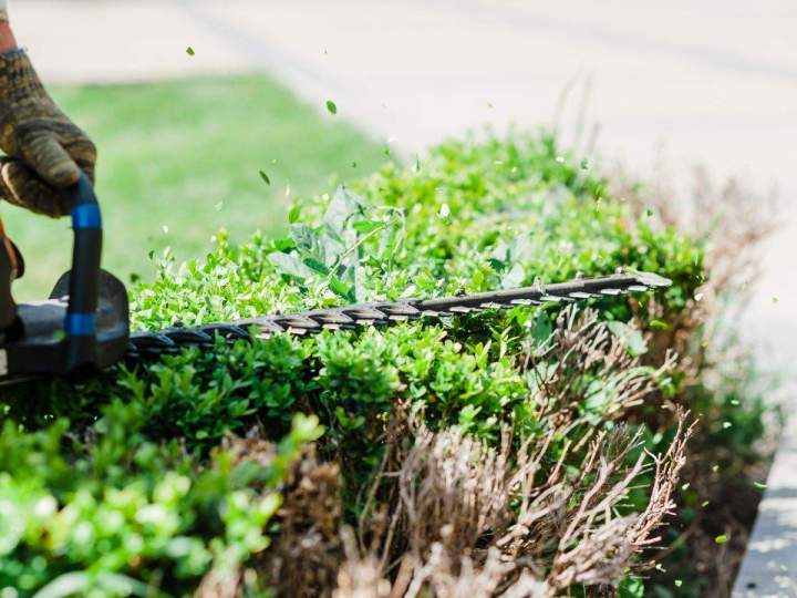 Entretien de jardins de manière régulière
