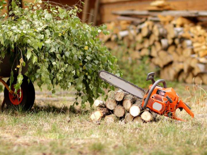 Contrat d’entretien des espaces verts Carpentras