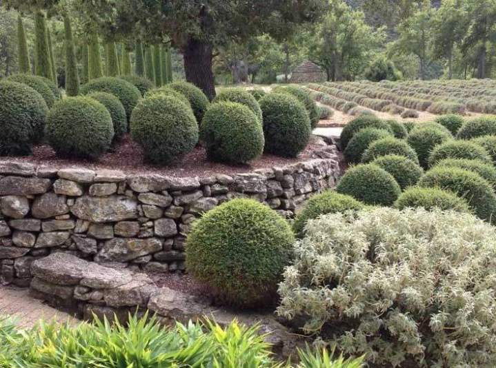 Entretien de jardins, Orange
